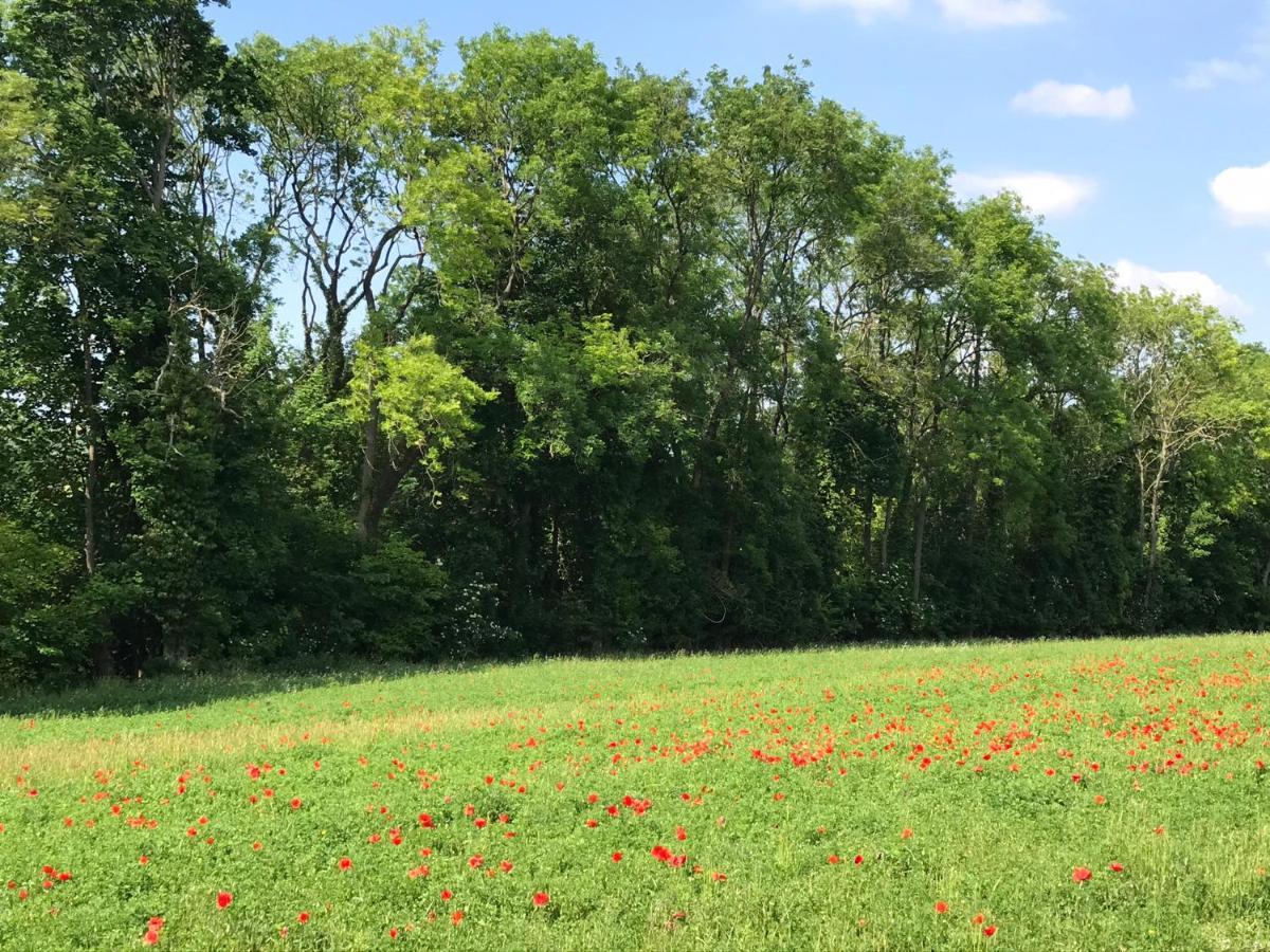 Chambre D'Hotes "Coquelicot" Nurlu Экстерьер фото